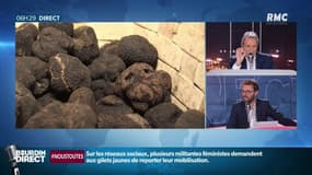 Les truffes en voie de disparition avec le réchauffement climatique