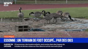 Focus Régions - 29/08