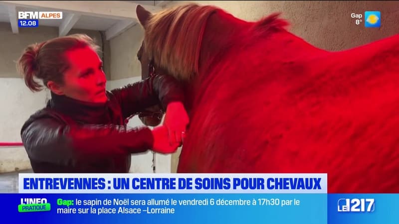 Entrevennes: un centre de soins spécialisé pour les chevaux