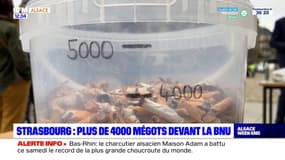 Strasbourg: 4000 mégots ramassés autour de la BNU