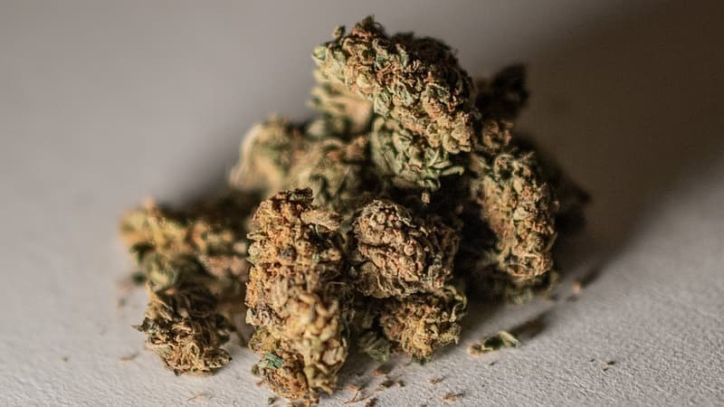 La vente des fleurs de CBD est définitivement autorisé (image d'illustration).