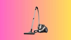 Noté 4,9 sur 5, cet aspirateur traineau sans sac Rowenta est un indispensable pour un intérieur sans poussière