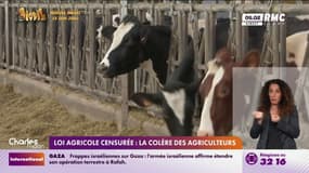 Loi agricole censurée : la colère des agriculteurs