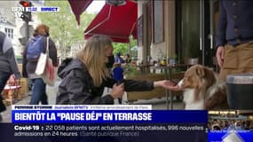 "J'ai servi mes premières pintes à 9h00 du matin": le patron d'un établissement parisien heureux que les terrasses des restaurants et des bars rouvrent ce mercredi