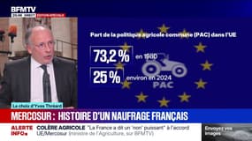 LE CHOIX D'YVES - Mercosur: histoire d'un naufrage français