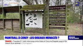 L’ouverture d’une aire de paintball sur l’île de loisirs de Cergy-Pontoise, inquiète les associations de défense de l’environnement