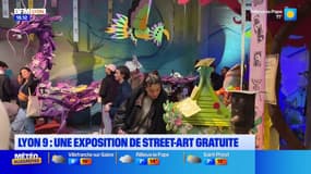 Lyon: une exposition de street-art gratuite 