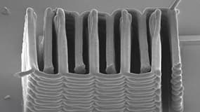 La microbatterie lithium-ion que l'équipe de Jennifer A. Lewis a réalisée ne mesure pas plus que la taille d'un grain de sable.