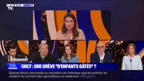 SNCF : une grève "d'enfants gâtés" ? - 15/02