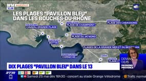 Dix plages des Bouches-du-Rhône labellisées "Pavillon bleu"
