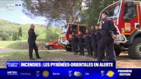 Sécheresse: les Pyrénées-Orientales en "risque très sévère" d'incendie