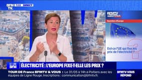 Est-ce l'Union européenne qui fixe les prix de l'électricité ? BFMTV répond à vos questions