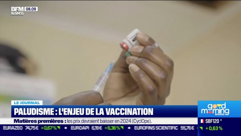 Paludisme : l'enjeu de la vacination