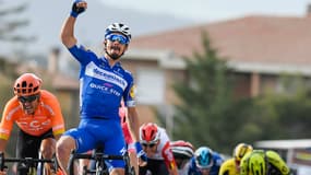 Julian Alaphilippe