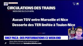 Provence-Alpes-Côte d'Azur: pas de TGV ce week-end entre Nice Marseille