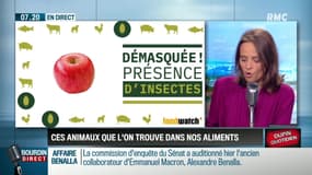 Dupin Quotidien : Ces animaux que l'on trouve dans nos aliments - 20/09