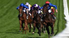 Adayar, Mojo Star et Hurricane Lane, les trois premiers du Derby d'Epsom seront au départ du Prix de l'Arc de Triomphe