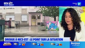 Trafic de drogue à Nice-Est: le point sur la situation