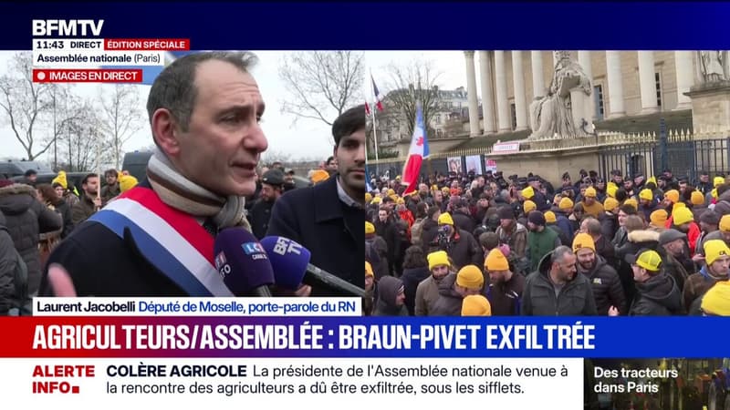 Laurent Jacobelli (RN): "Les agriculteurs en ont marre qu'on leur mente"