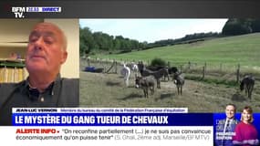 Chevaux tués par un gang: "ces personnes savent manipuler les chevaux", selon ce membre de la Fédération française d'équitation