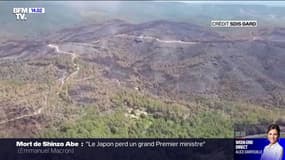 Incendies dans le Gard: les images aériennes des dégâts