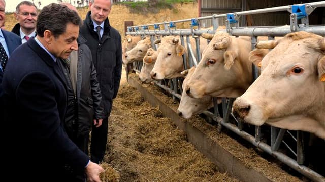 Lors d'un déplacement dans le Gers, où il s'est rendu avec le ministre de l'Agriculture Bruno Le Maire, Nicolas Sarkozy s'en est pris aux écologistes, stigmatisant leurs positions "sectaires" sur l'agriculture. Le chef de l'Etat a engagé depuis deux ans u