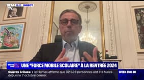 Mise en place d'une "force mobile": "Tout ce qui peut être fait en faveur d'interventions des pouvoirs publics vont dans le bon sens", déclare le maire de Bordeaux 