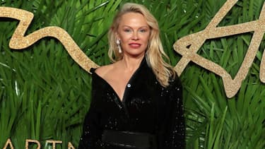 Pamela Anderson 2017