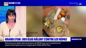 Métropole de Lyon: des conseillers d'opposition critiquent le repas servi aux élus