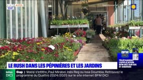 Alpes du Sud: avec le retour des beaux jours, le rush dans les pépinières et les jardins