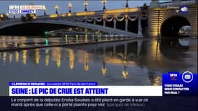 Paris: le pic de crue de la Seine est atteint