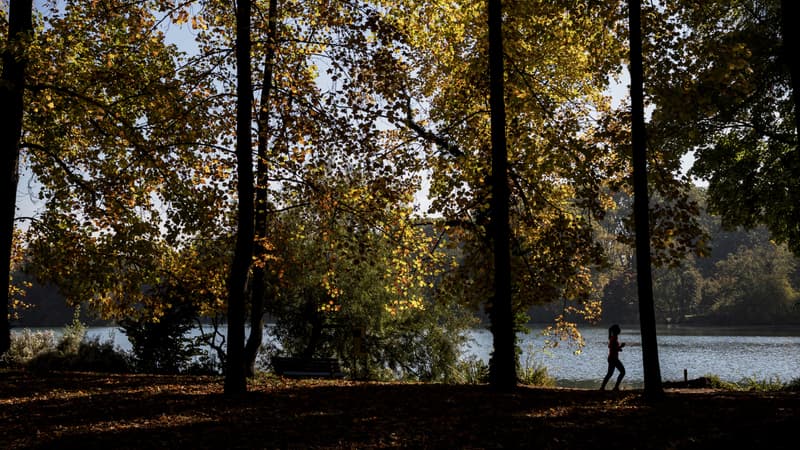 Une femme fait un footing. (Photo d'illustration)