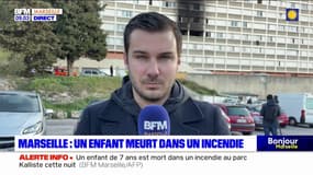 Marseille: un enfant de 7 ans est mort dans un incendie au parc Kalliste