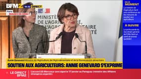 Loup: les tirs autorisés vont "augmenter de 10%", annonce la ministre de l'Agriculture