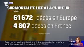 Les fortes chaleurs ont causé 61.672 décès en Europe en 2022, dont 4807 en France