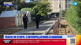 Trafic de stupéfiants: 5 interpellations à Cannes, dans le quartier de Ranguin