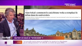 Qu'est-ce que le "wokisme" ?