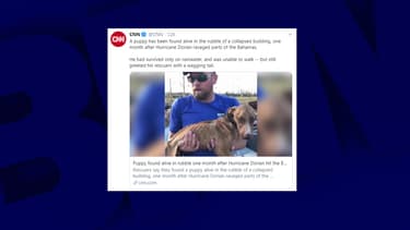 Miracle, le chien sauvé vendredi dernier