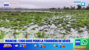 Manche: un million d'euros pour la Tourbière de Sèves
