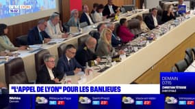 "L'appel de Lyon" pour les banlieues