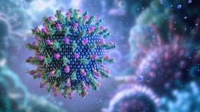 Virus de l'hépatite, illustration. Ces virus, dont les types A, B et C, infectent principalement le foie.