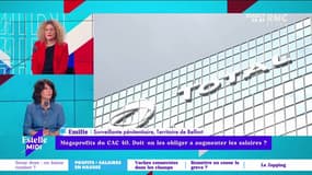 Mégaprofits du CAC 40, doit-on les obliger à augmenter les salaires ? - 03/02