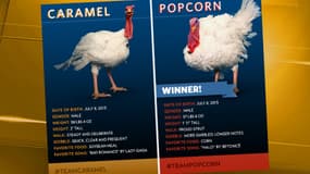 Caramel et Popcorn étaient mises en concurrence sur les réseaux sociaux.