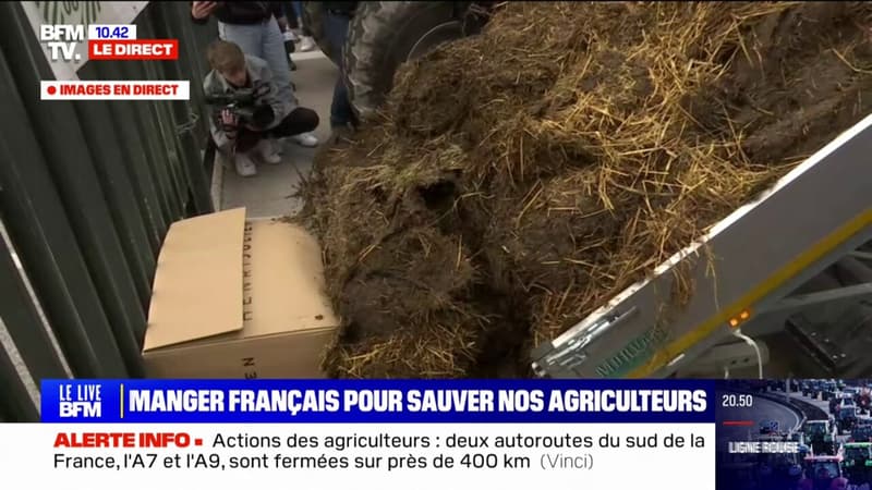 Colère des agriculteurs: du fumier déversé devant la préfecture à Nice
