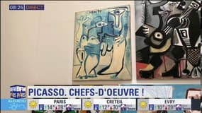 Les chefs-d'œuvre du musée Picasso