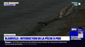 La Manche: la pêche à pied interdite jusqu'à nouvel ordre à Blainville