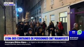 Loi immigration: 800 personnes ont manifesté à Lyon selon la préfecture