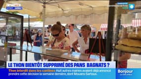 Le thon bientôt supprimé des pans bagnats ?