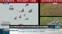La chronique d'Anthony Morel : Des pigeons-robots pour surveiller les Chinois - 09/07