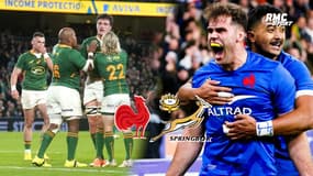 France - Afrique du Sud : "être survoltés face aux Bleus" insiste le coach des Springboks